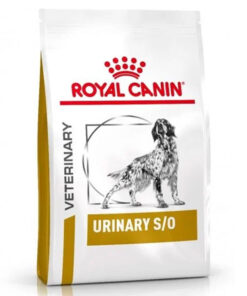 Hạt cho chó Royal Canin thức ăn cho chó bị sỏi thận