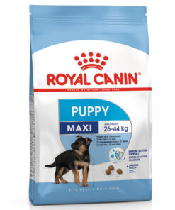 Hạt cho chó Royal Canin thức ăn chó con giống lớn