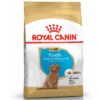 Hạt cho chó Royal Canin thức ăn chó Poodle con