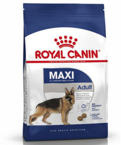 Hạt cho chó Royal Canin thức ăn chó trưởng thành giống lớn