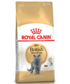 Hạt cho mèo Royal Canin thức ăn cho mèo Anh lông ngắn trưởng thành