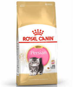 Hạt cho mèo Royal Canin thức ăn cho mèo Ba Tư con