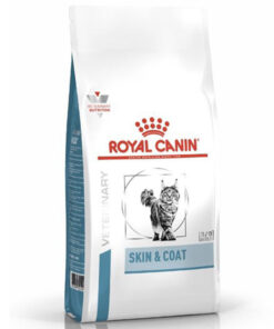 Hạt cho mèo Royal Canin thức ăn cho mèo bị viêm da, rụng lông