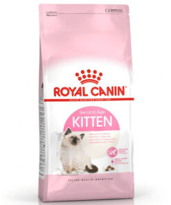 Hạt cho mèo Royal Canin thức ăn cho mèo con siêu ngon
