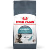 Hạt cho mèo Royal Canin thức ăn cho mèo điều trị búi lông