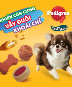 Bánh thưởng cho chó Pedigree giòn tan khó cưỡng với 2 vị