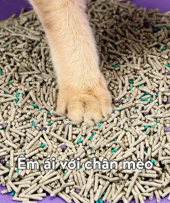 cat ve sinh dau nanh petkit khu mui von cuc cuc tot mix nhieu loai 2