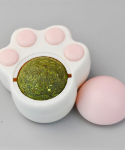 Cỏ mèo vị bạc hà dính tường giúp các bé mèo giảm stress